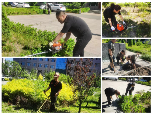 博鱼中国官网：永登县城市园林绿化工程